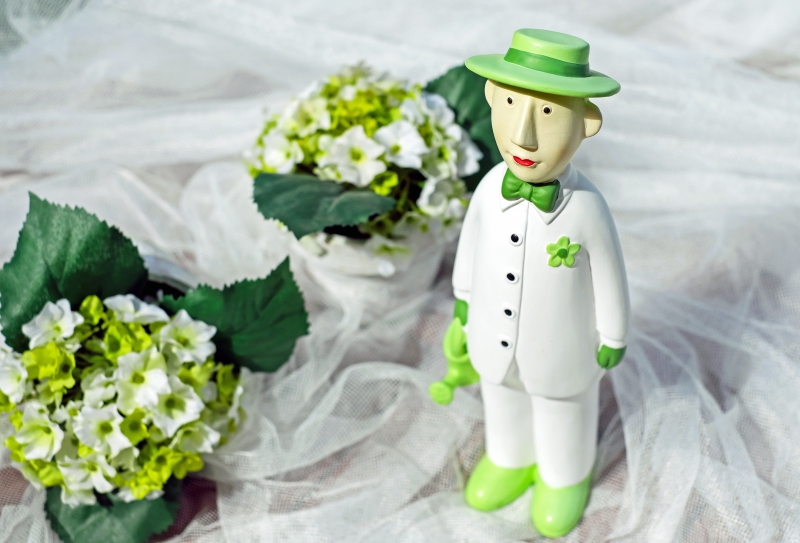 vente-LA MARTRE-min_man-person-flower-green-toy-fig-546529-pxhere.com